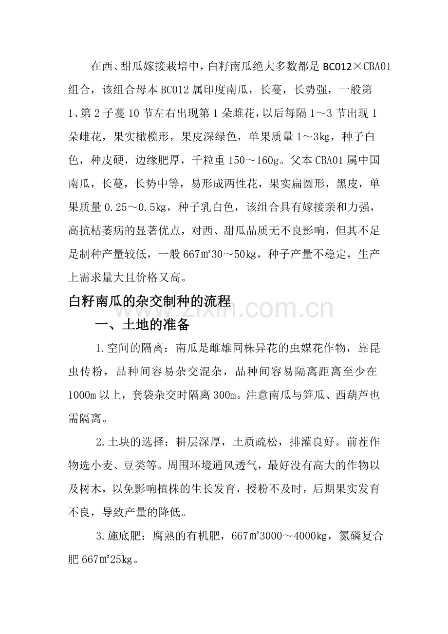 白籽南瓜的杂交制种技术.docx_第2页
