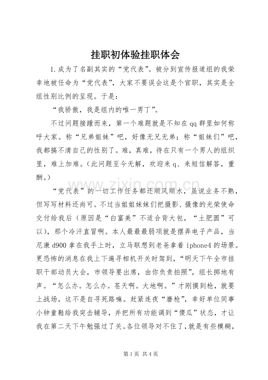 挂职初体验挂职体会.docx_第1页