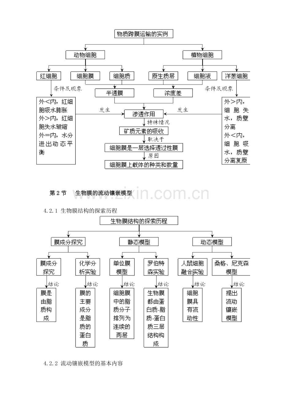 必修一第四章概念图.doc_第2页