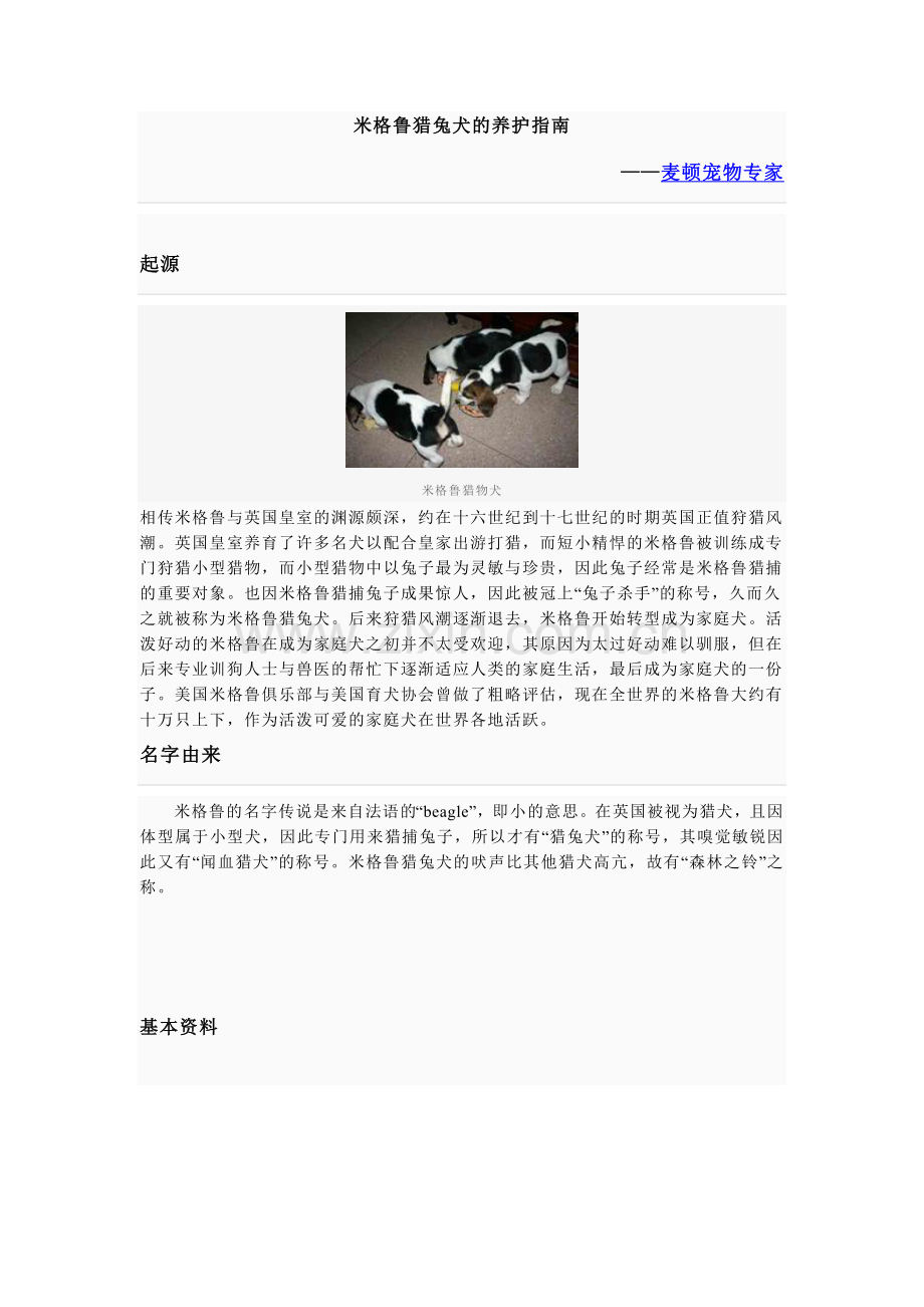 米格鲁猎兔犬的养护指南.doc_第1页
