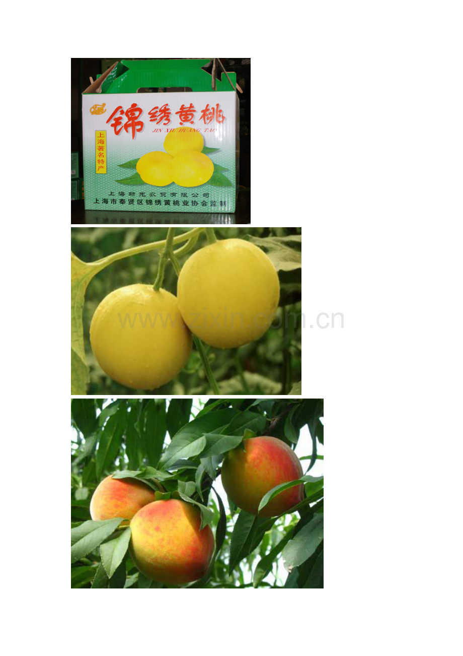 农产品简介.docx_第2页