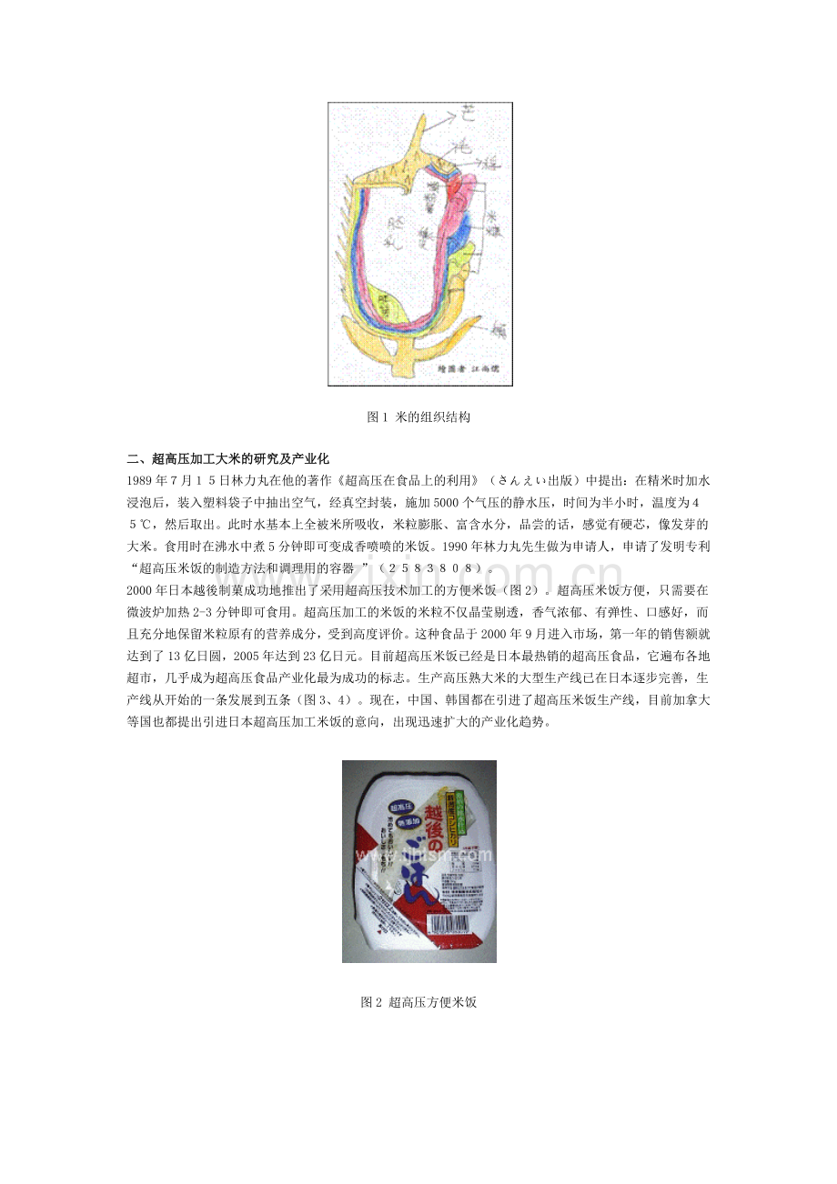 超高压米饭.docx_第2页