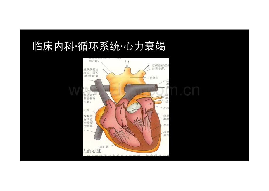 【2013-14年】402 相关专业知识【讲义】 (4).pdf_第2页