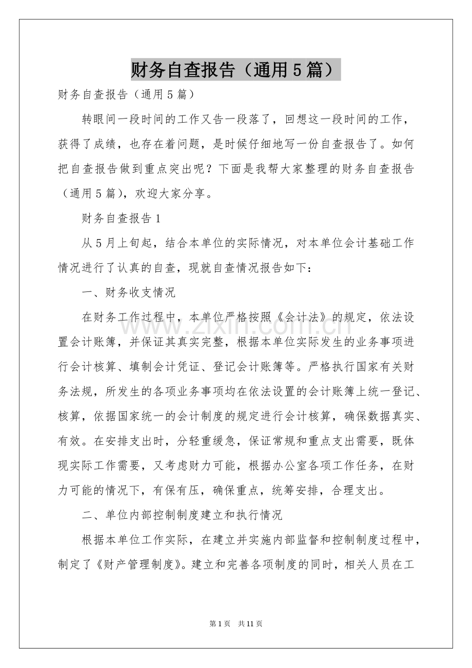 财务自查报告（通用5篇）.docx_第1页