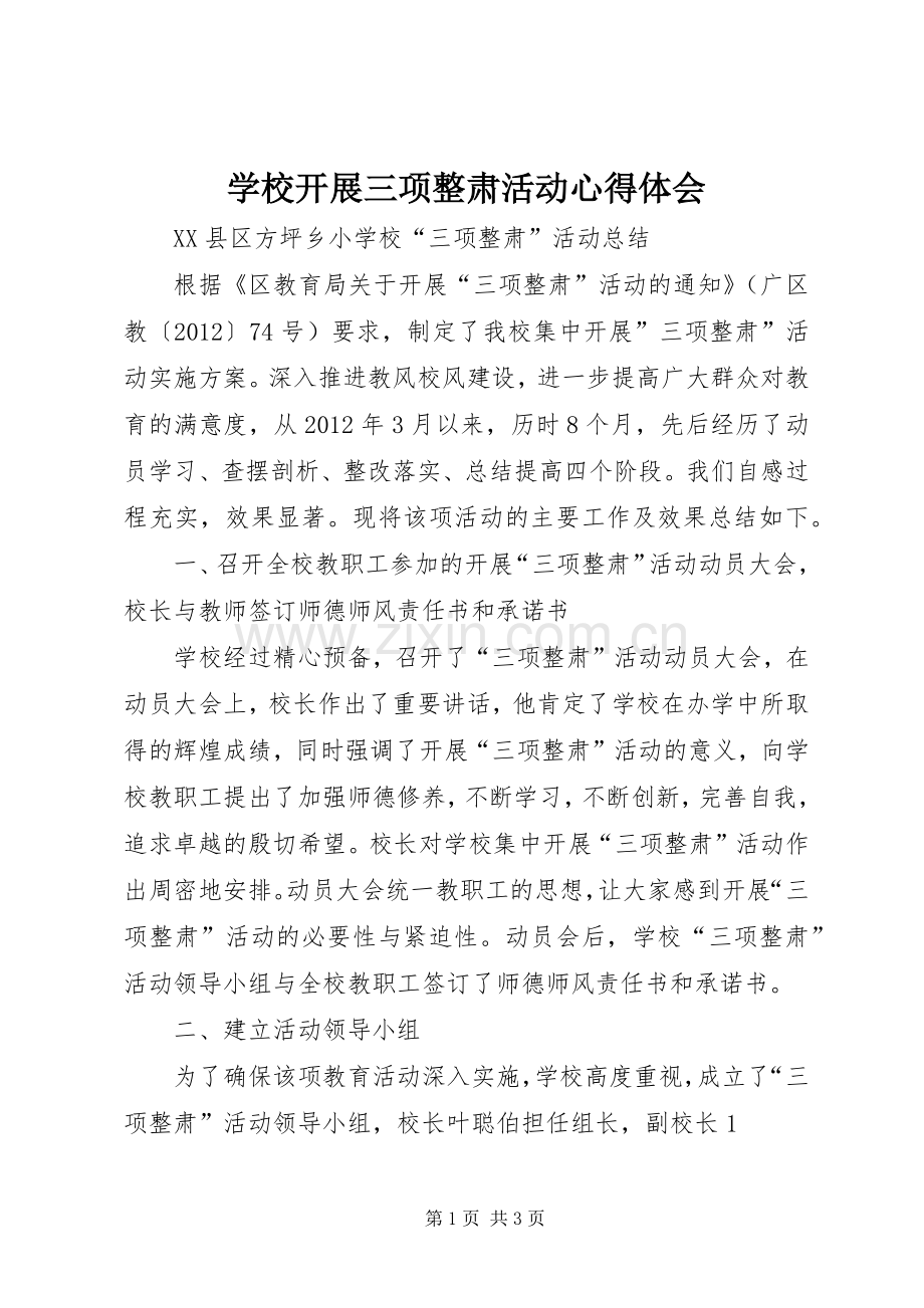 学校开展三项整肃活动体会心得.docx_第1页
