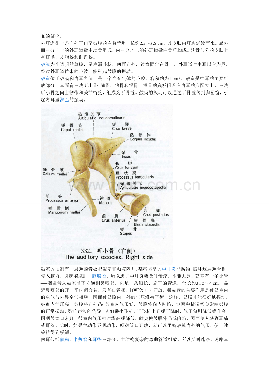 耳的解剖.doc_第2页