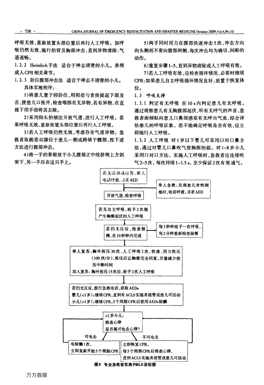 中国心肺复苏指南(初稿)续四小儿心脏骤停与复苏.pdf_第2页