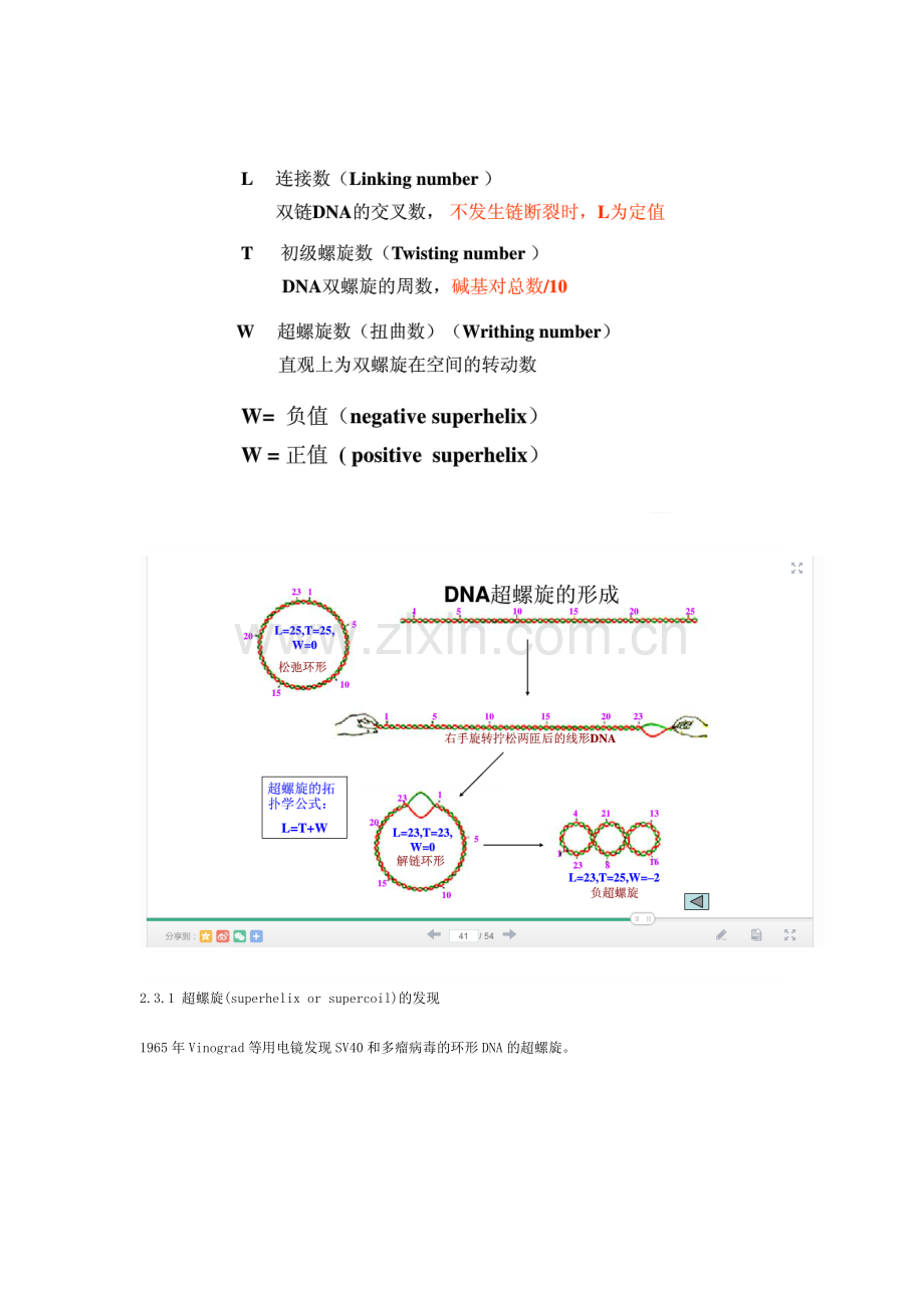 超螺旋L=T+W.doc_第1页