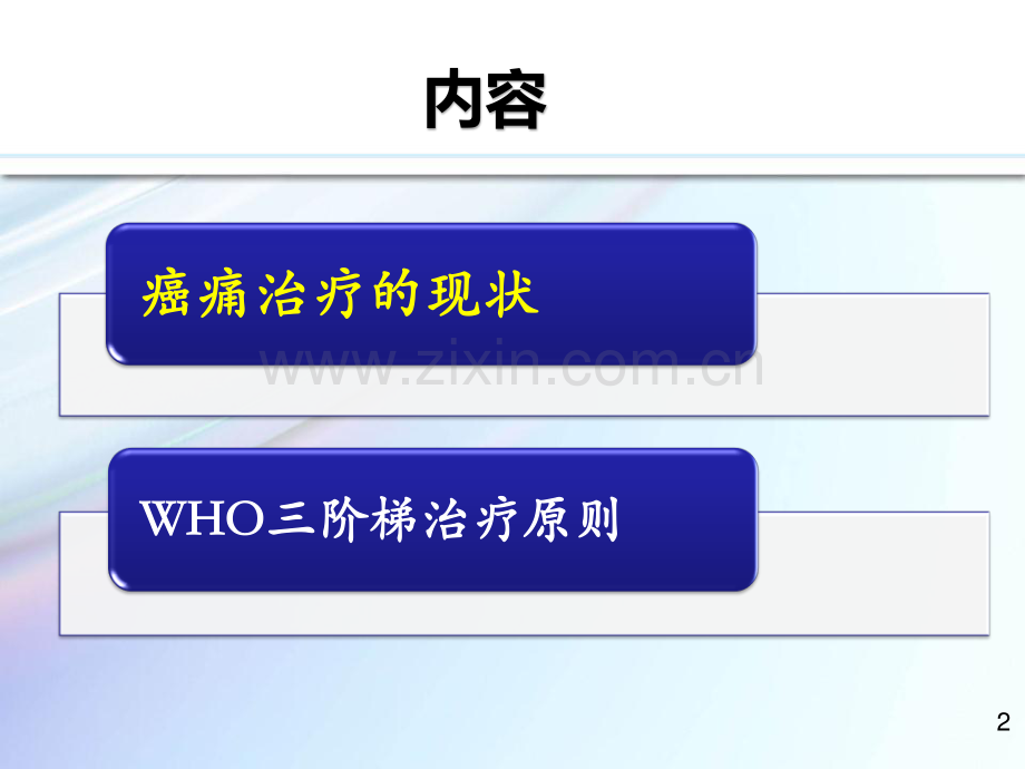 癌痛治疗.pdf_第2页