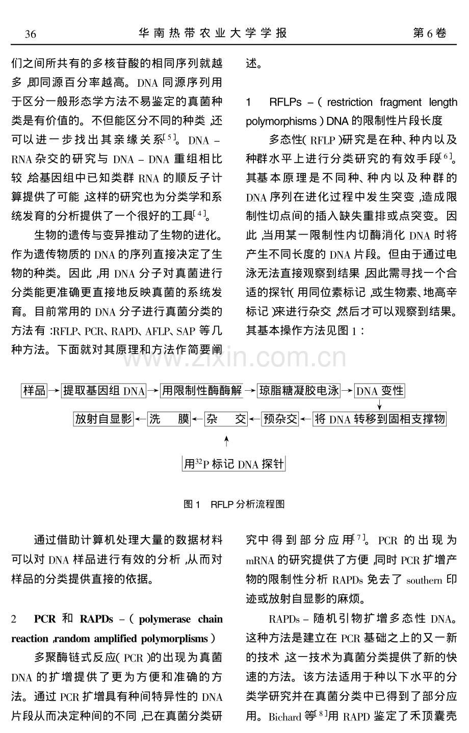 DNA真菌分类.pdf_第2页