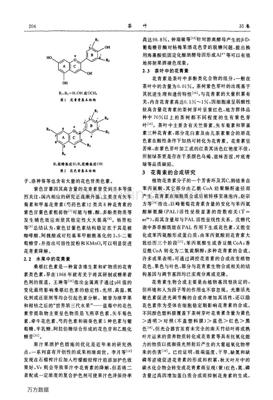 花青素分布、合成和降解综述.pdf_第2页