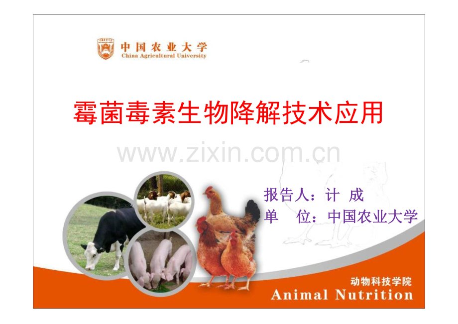 亿万中元霉菌2012(闫循忠).pdf_第1页