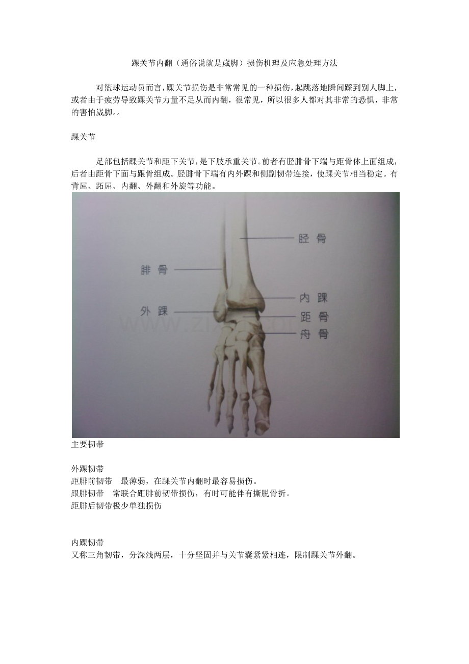 踝关节内翻——损伤机理及应急处理方法.docx_第1页