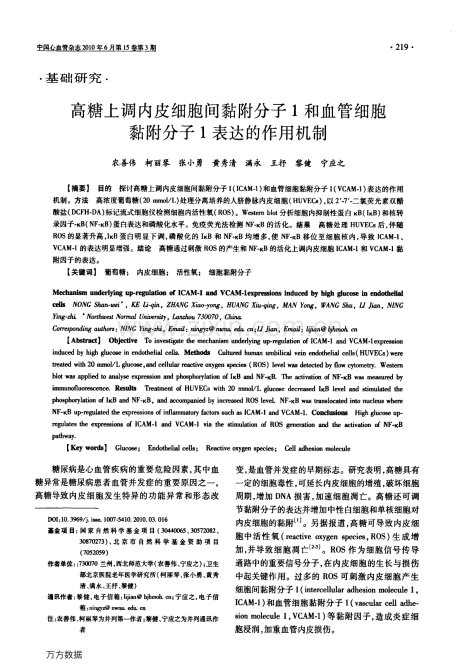 高糖上调内皮细胞间黏附分子1和血管细胞黏附分子1表达的作用机制.pdf_第1页