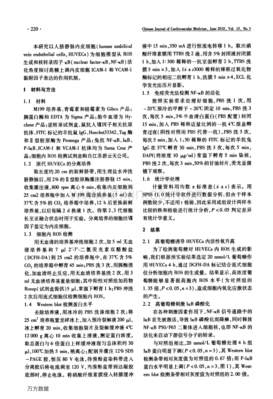 高糖上调内皮细胞间黏附分子1和血管细胞黏附分子1表达的作用机制.pdf_第2页