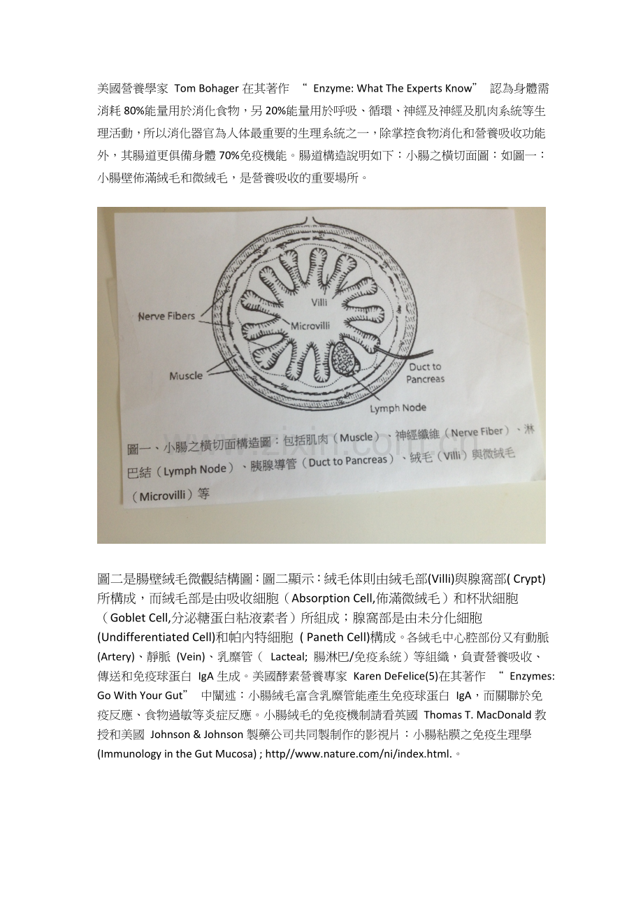 qqq欧美胃液优化疗法.draft 05.10.02.13.doc_第2页