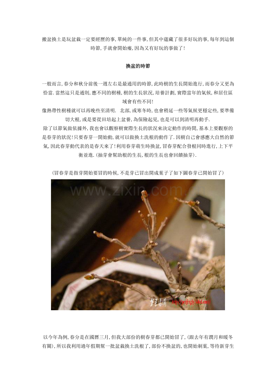 搬盆换土是玩盆栽一定要经历的事.doc_第1页