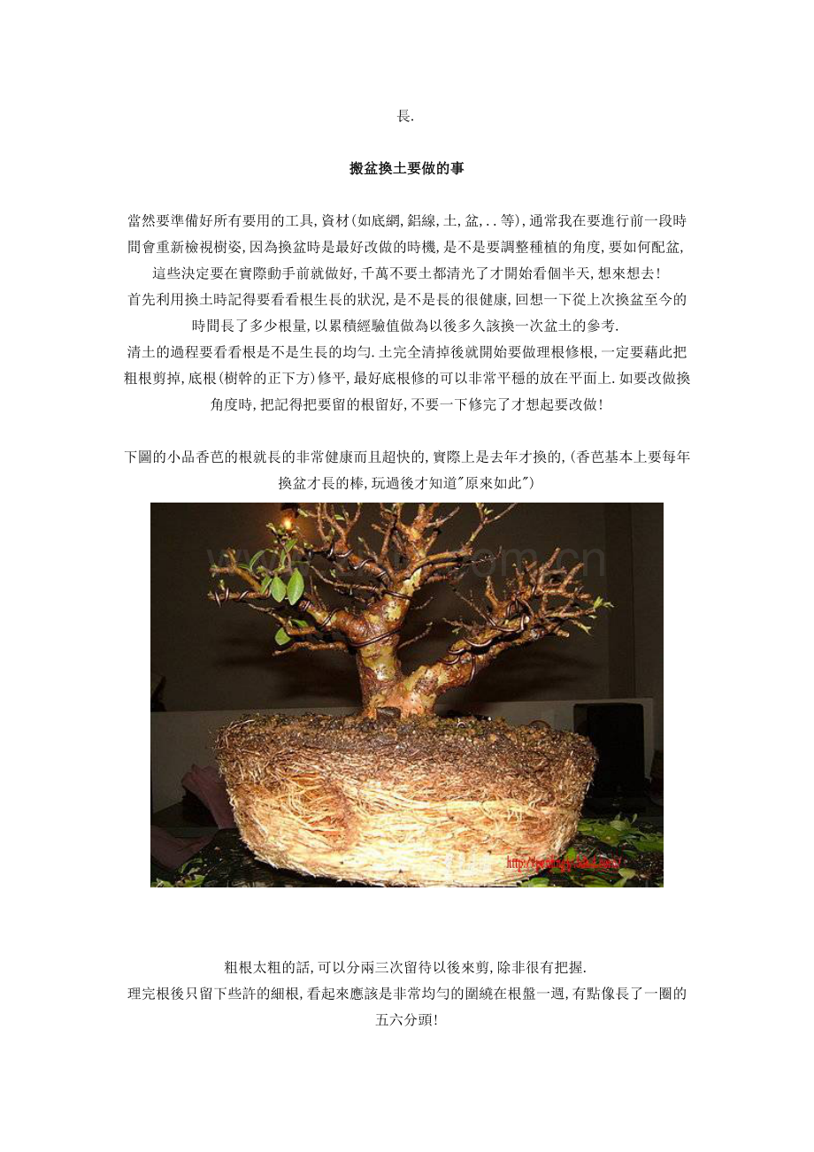 搬盆换土是玩盆栽一定要经历的事.doc_第2页