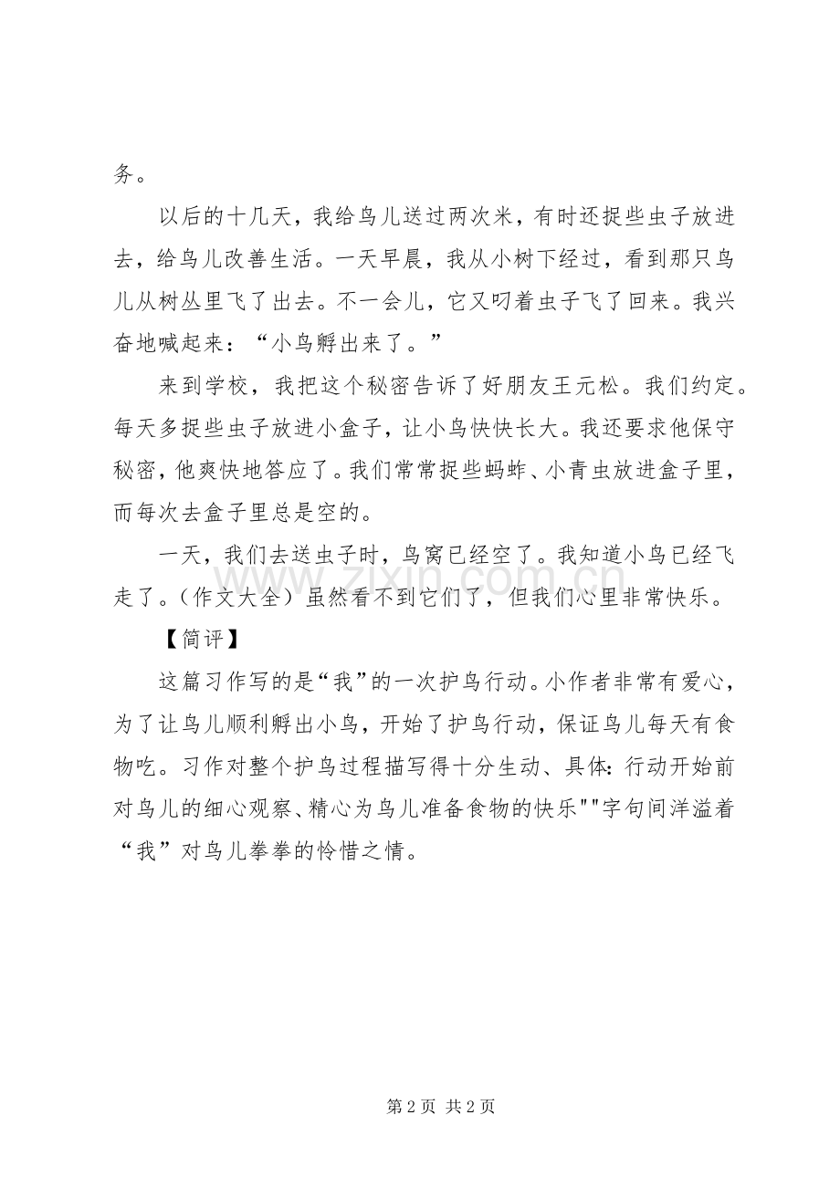 爱鸟护鸟的体会心得.docx_第2页