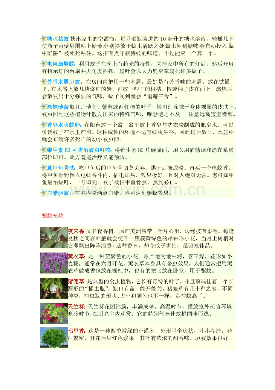 防蚊驱蚊方法大全.doc_第2页
