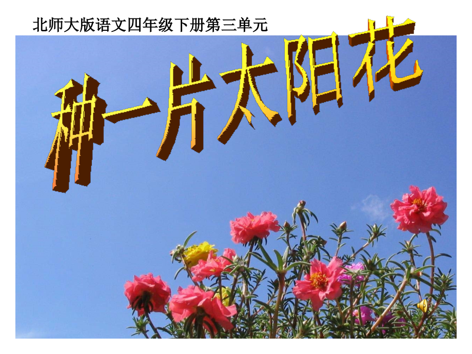 《种一片太阳花-》PPT课件.ppt_第1页