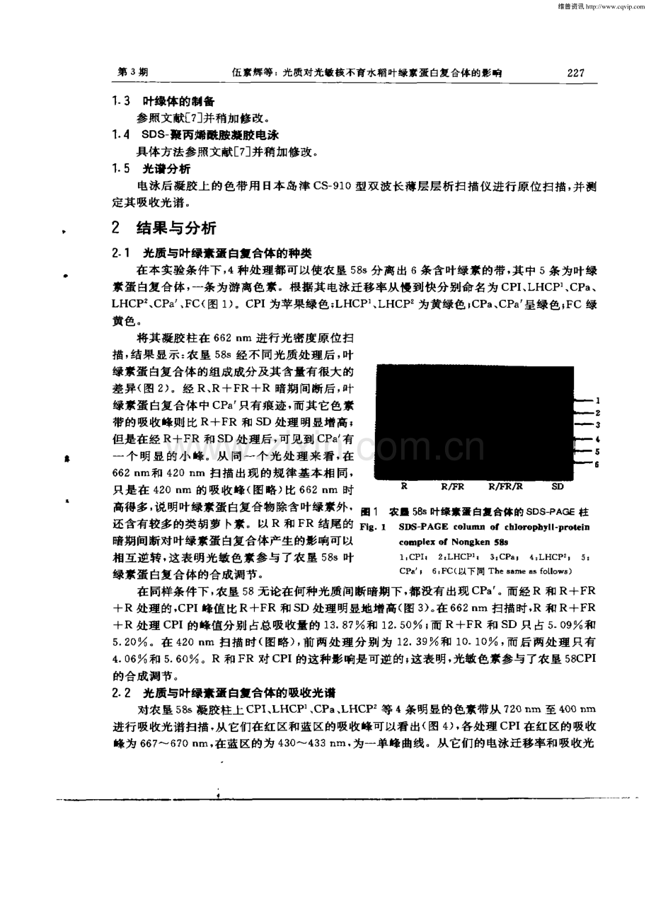 光质对光敏核不育水稻叶绿素蛋白复合体的影响.pdf_第2页