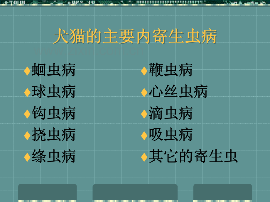 犬猫的主要内寄生虫性疾病.pdf_第2页