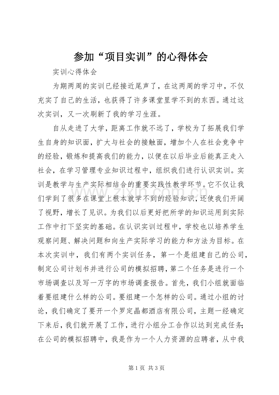 参加“项目实训”的体会心得3.docx_第1页