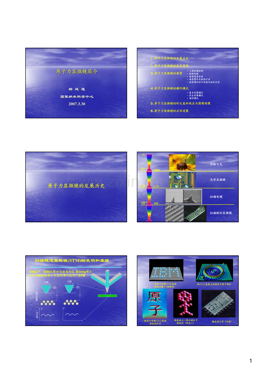 原子力显微镜简介.pdf_第1页