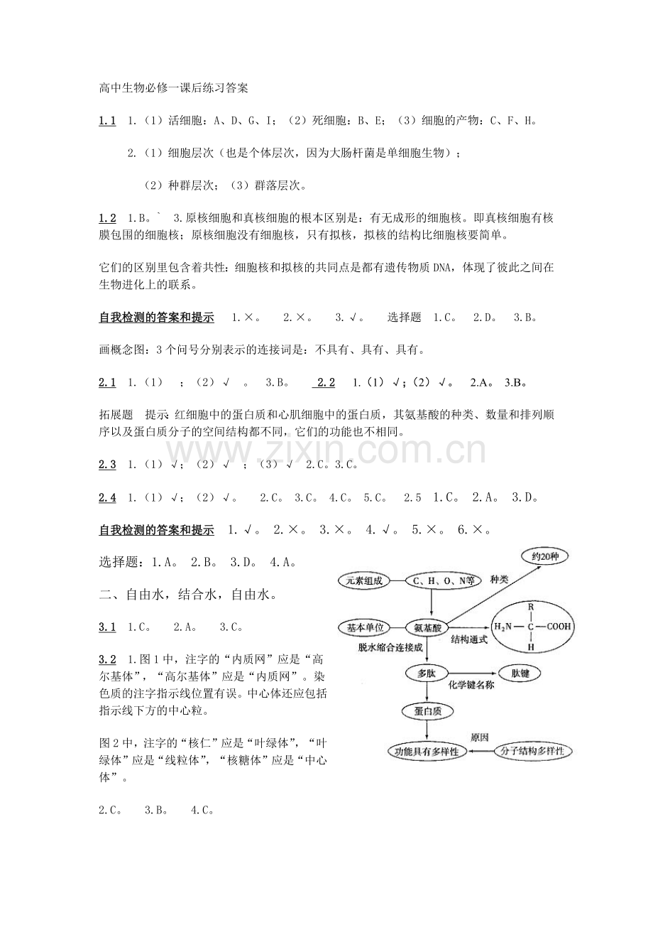 高中生物必修一课后练习答案.docx_第1页