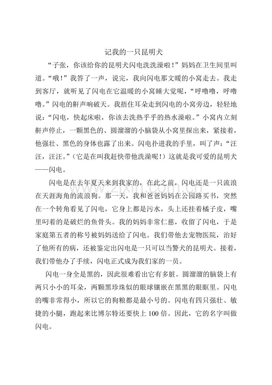 记我的一只昆明犬.doc_第1页