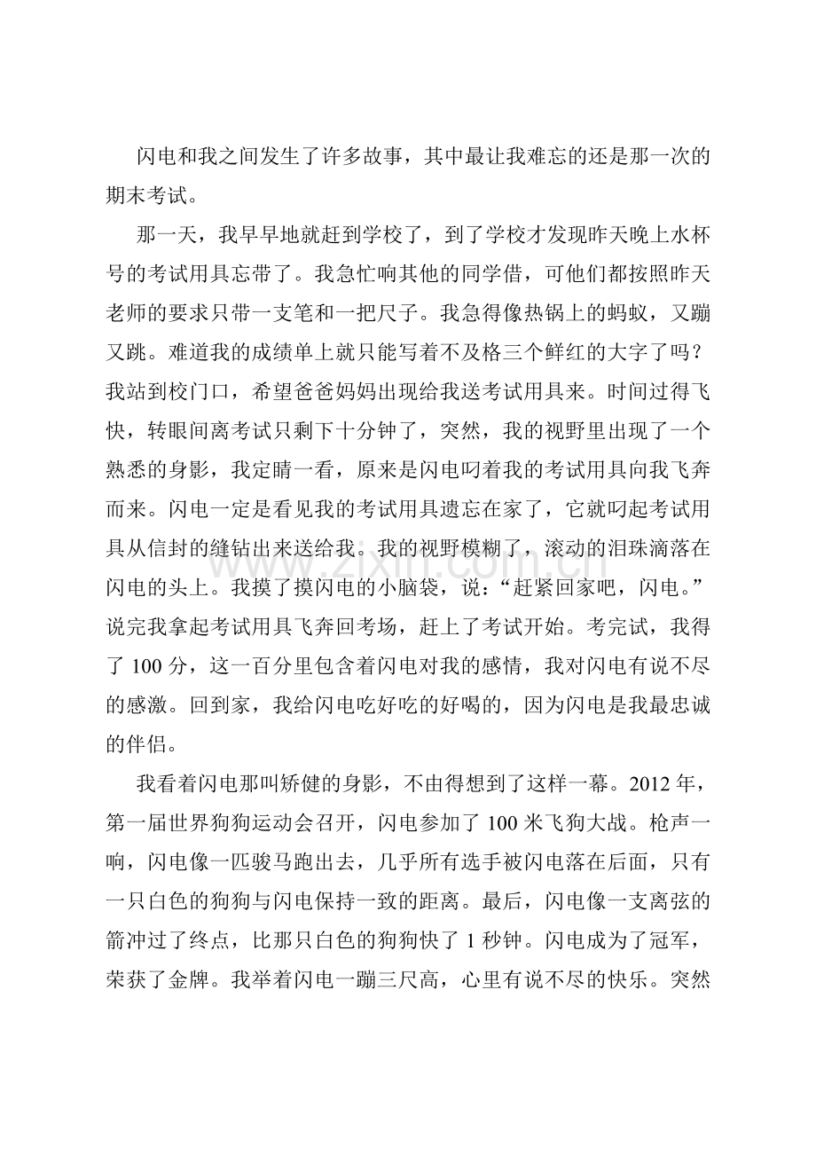 记我的一只昆明犬.doc_第2页