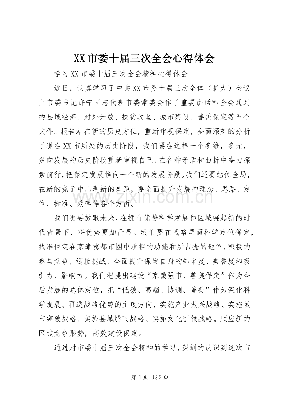 XX市委十届三次全会体会心得.docx_第1页