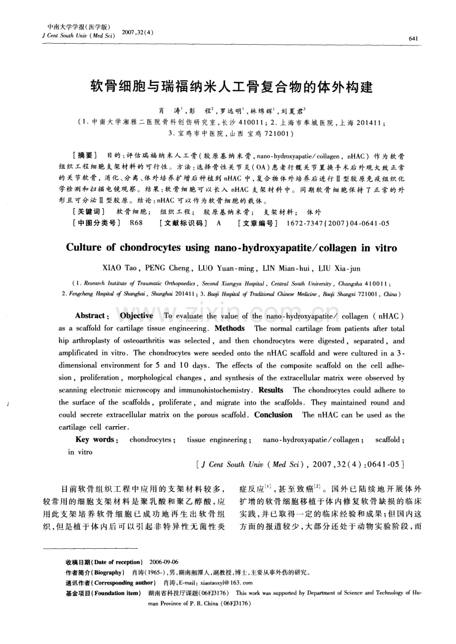 软骨细胞与瑞福纳米人工骨复合物的体外构建.pdf_第1页