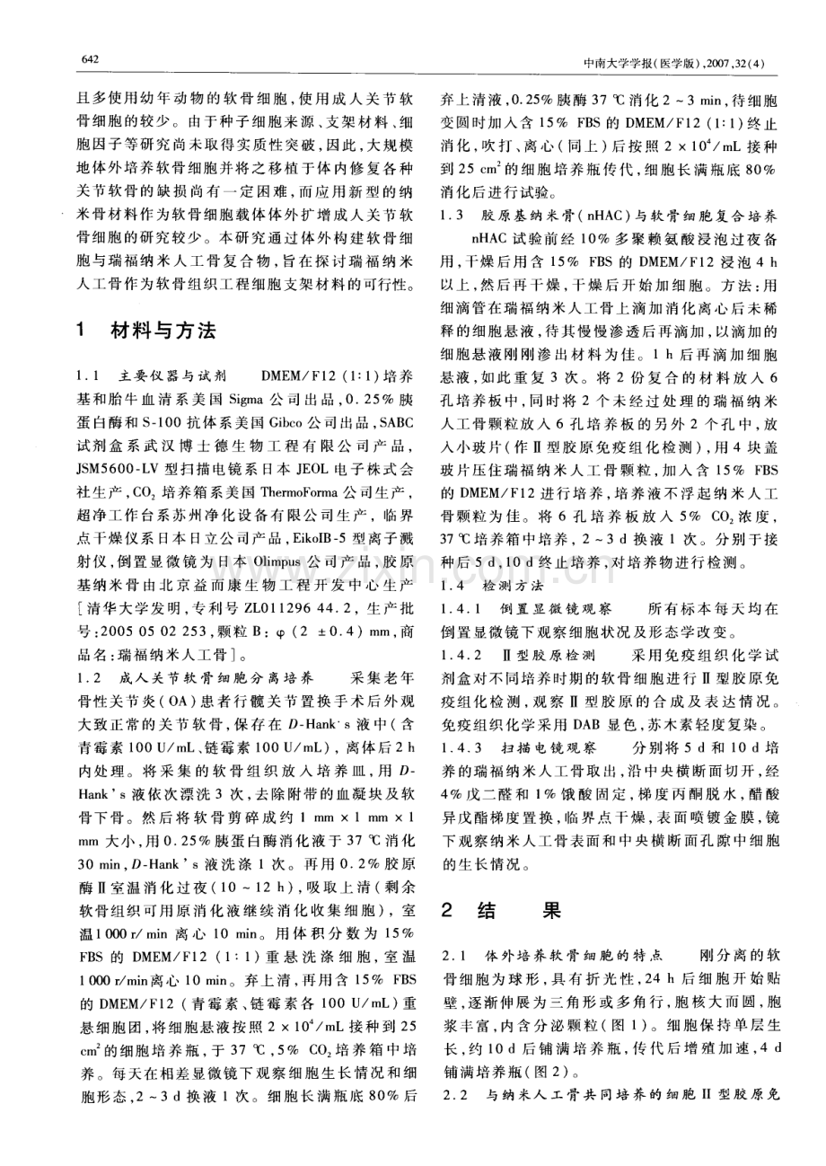 软骨细胞与瑞福纳米人工骨复合物的体外构建.pdf_第2页