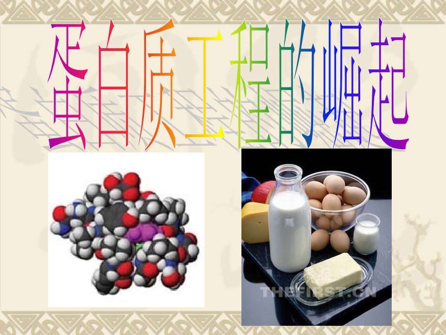 蛋白质工程的崛起ppt(讲课).ppt_第1页