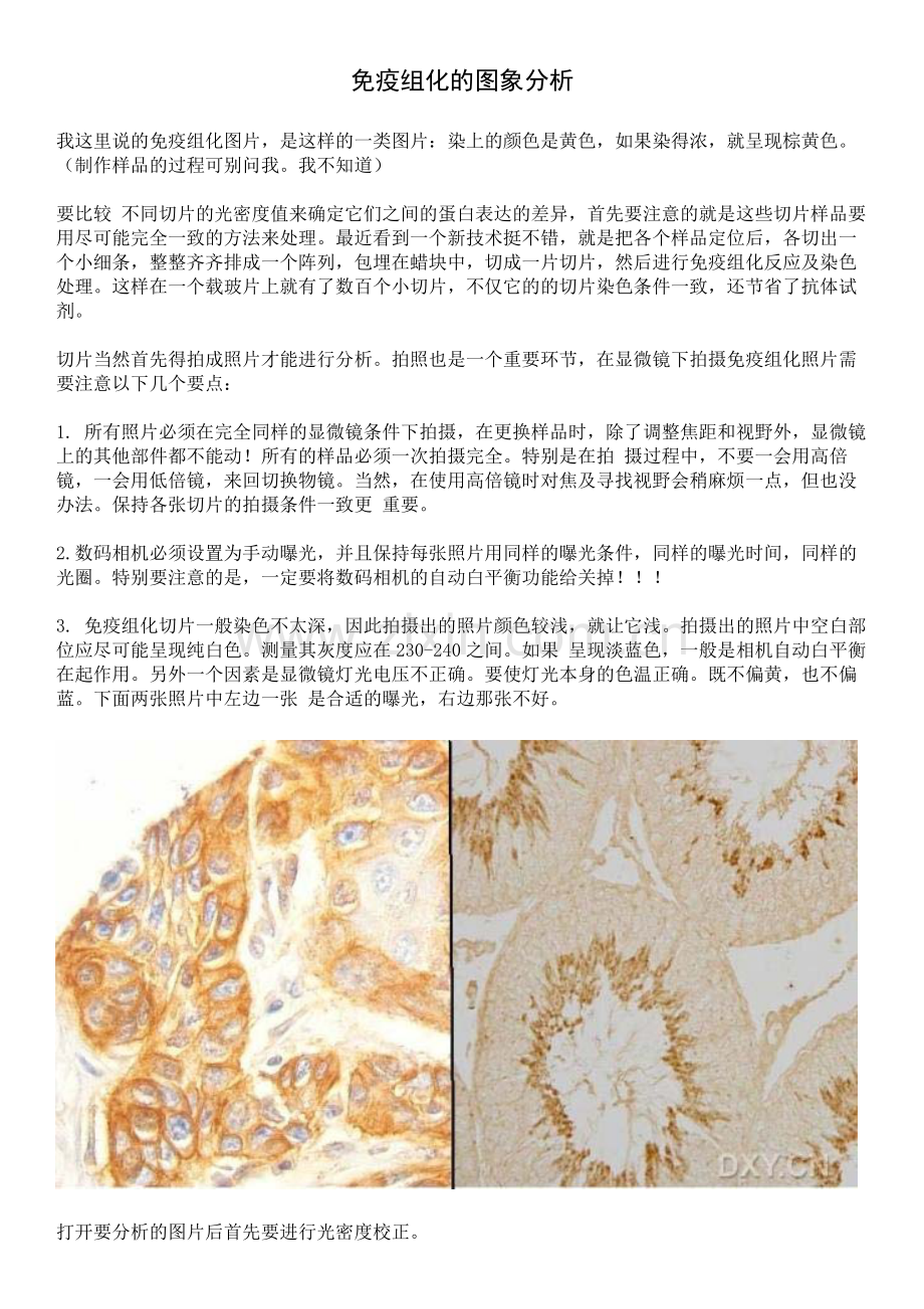 免疫组化的图象分析.pdf_第1页