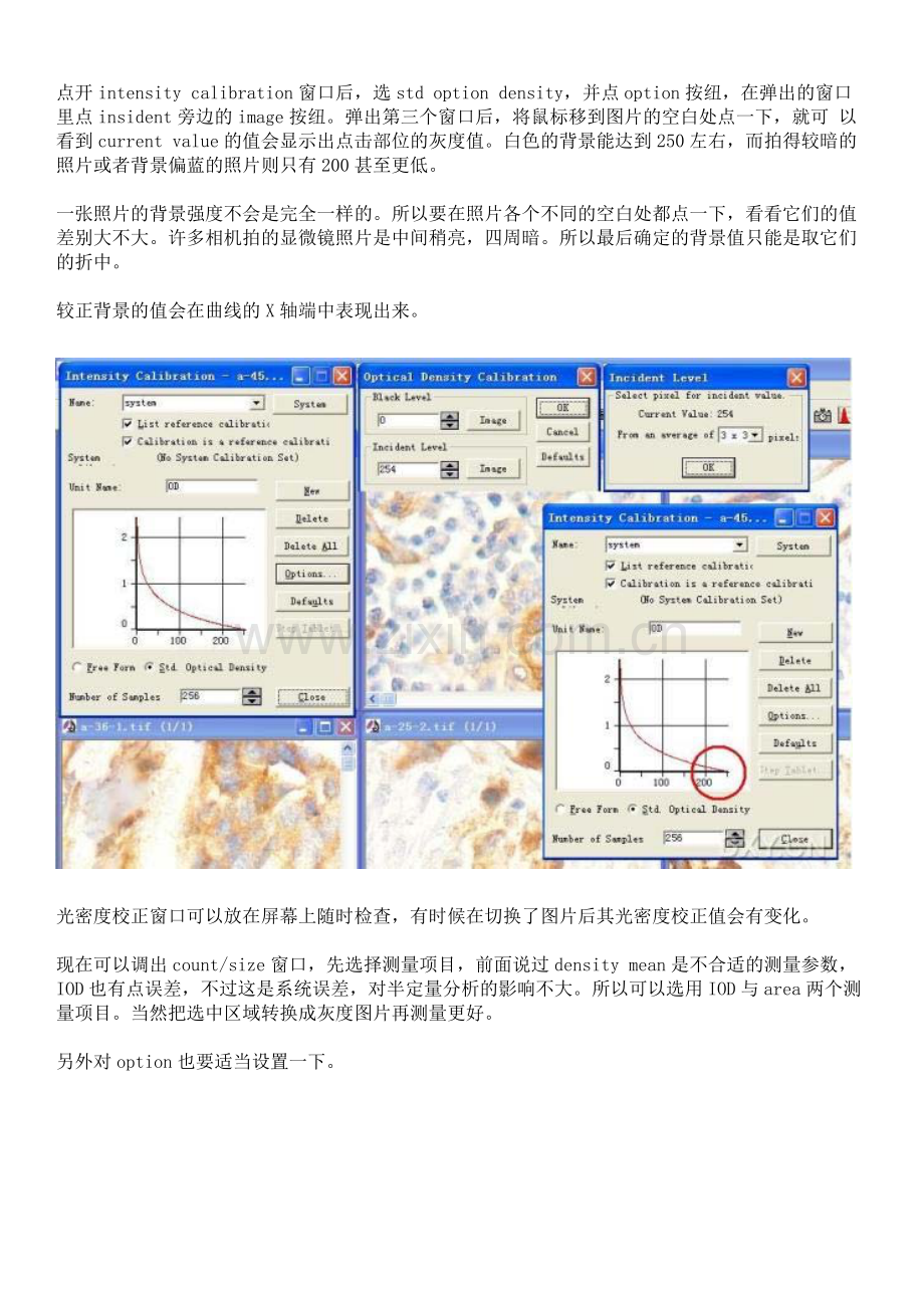 免疫组化的图象分析.pdf_第2页