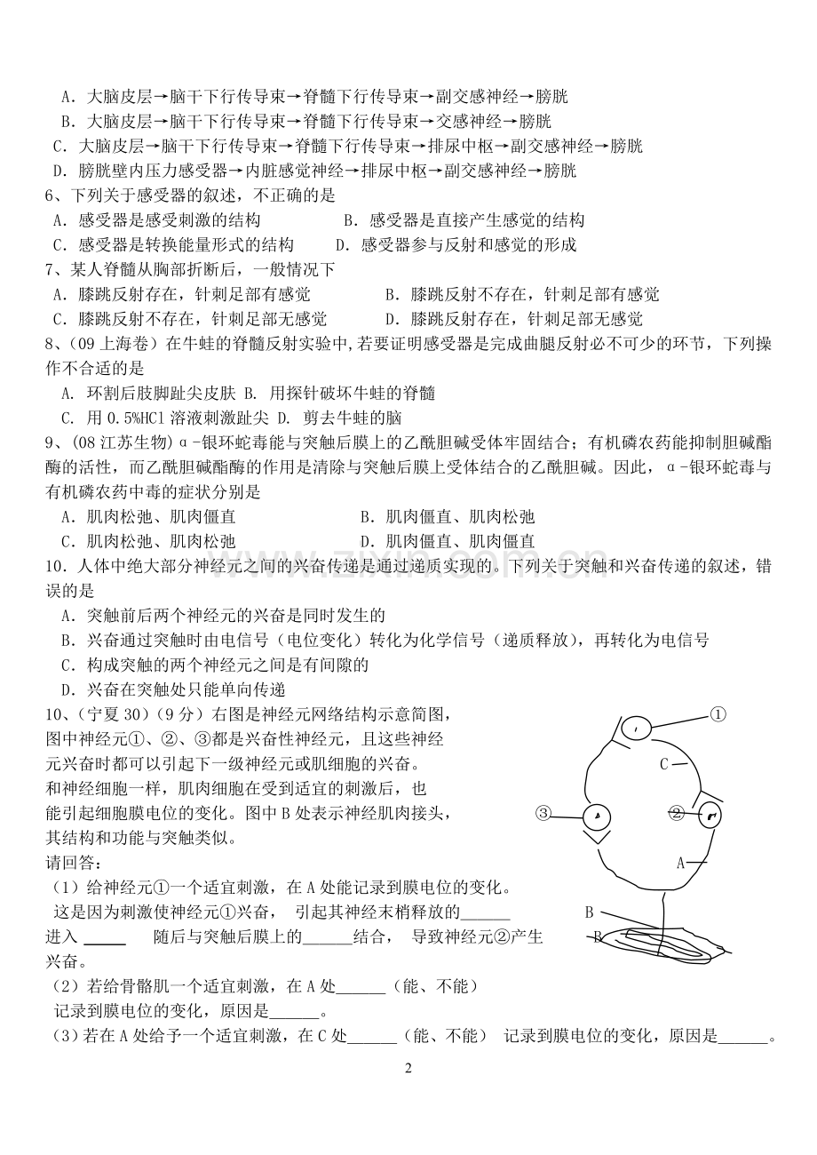 神经调节小卷子二.doc_第2页