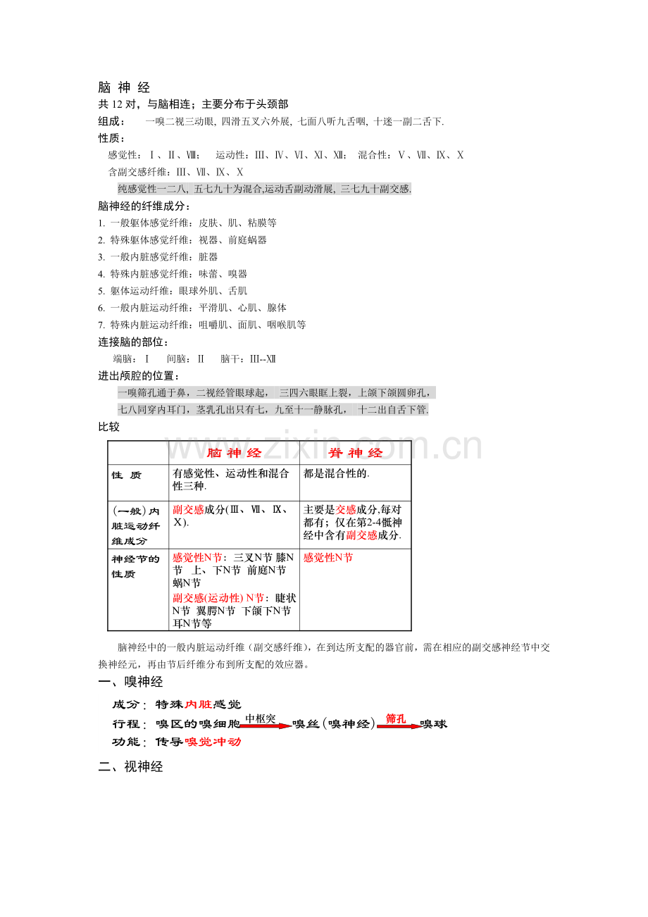 笔记12(脑神经).doc_第1页