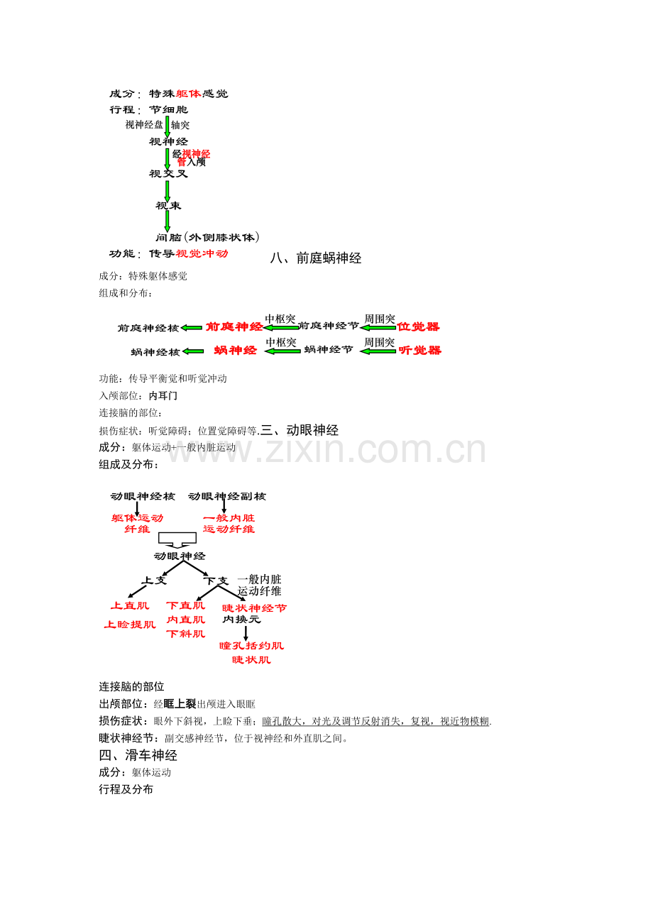 笔记12(脑神经).doc_第2页