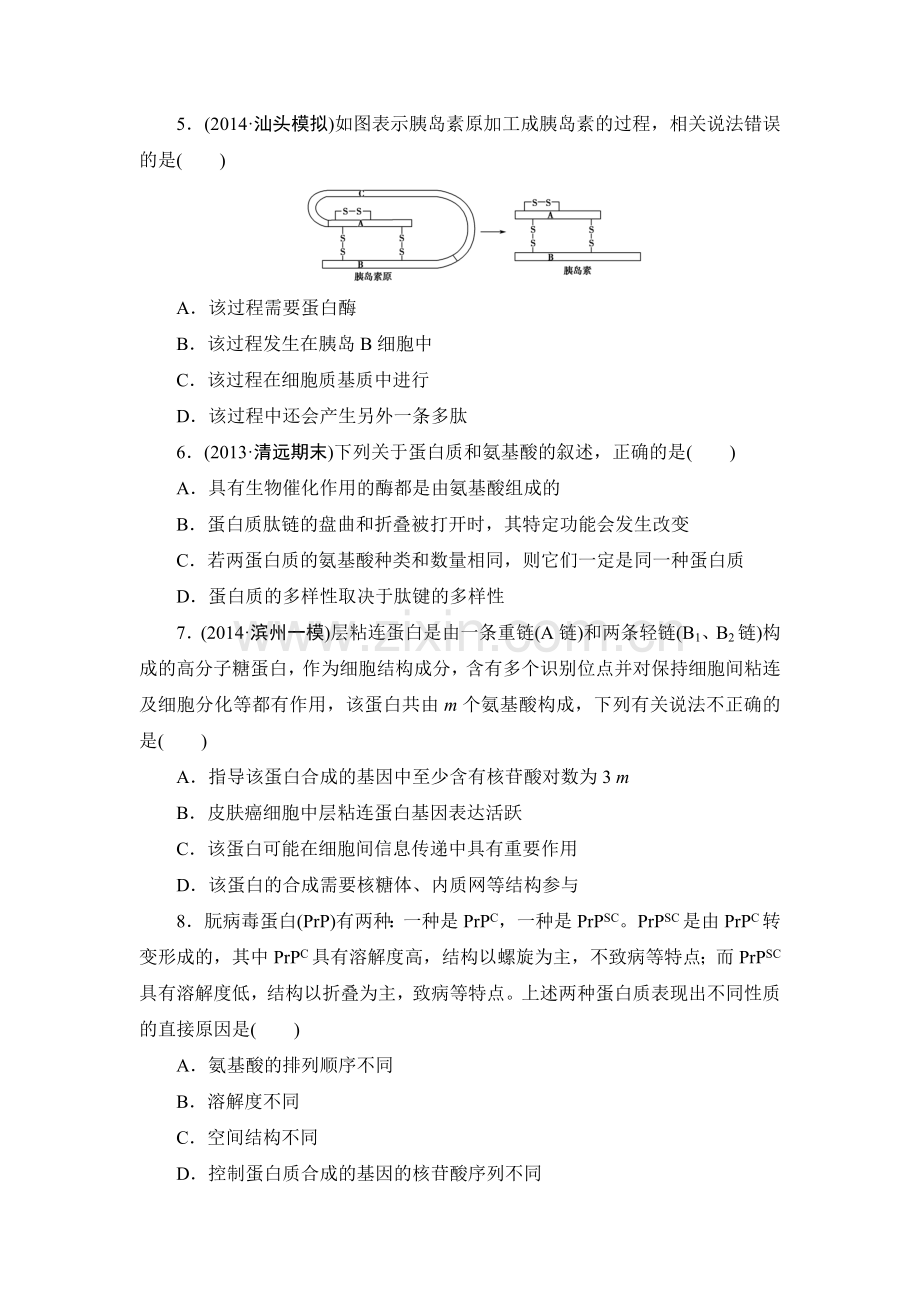 蛋白质练习题目.doc_第2页