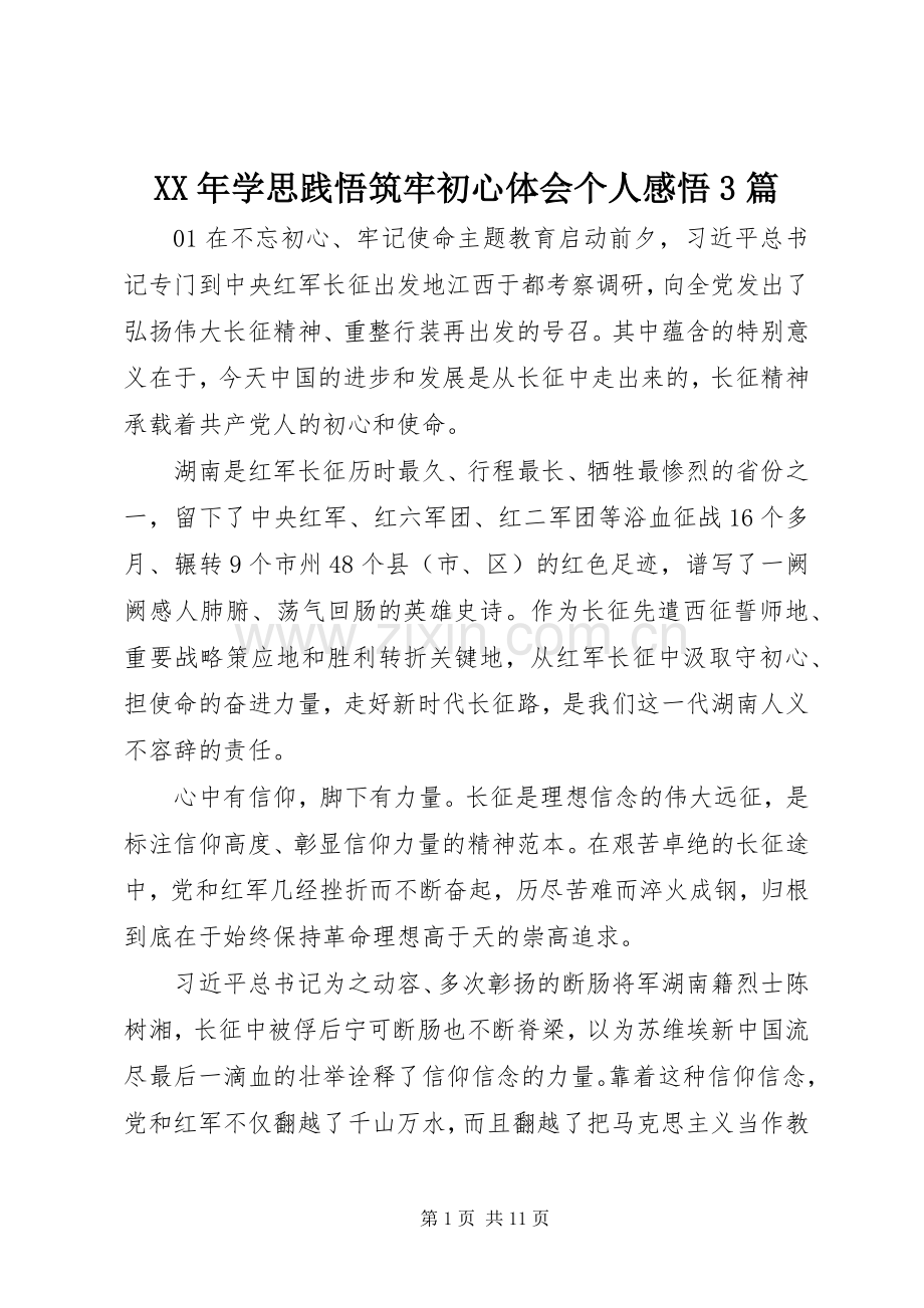 XX年学思践悟筑牢初心体会个人感悟3篇.docx_第1页