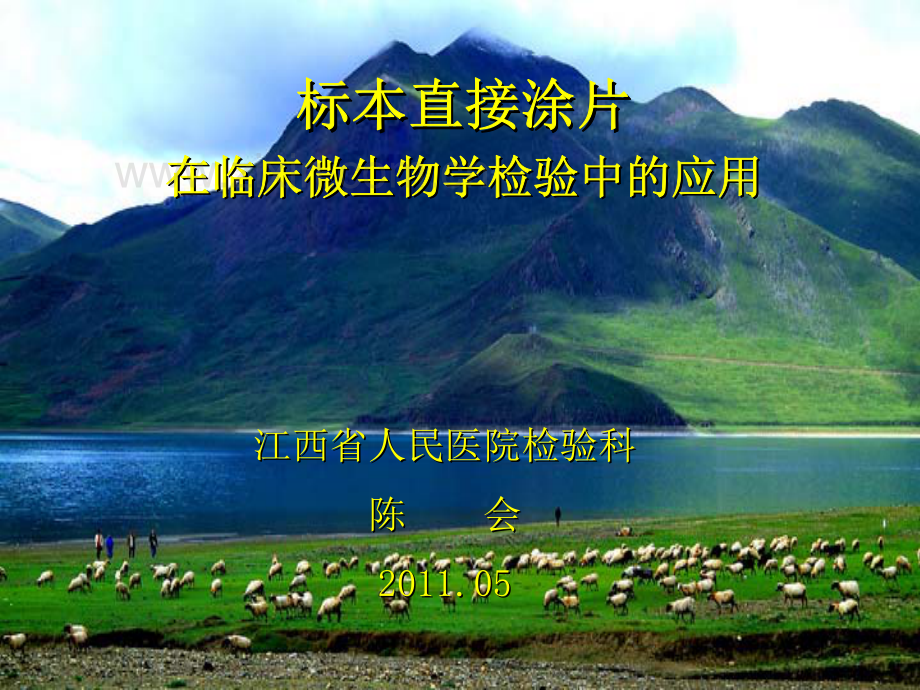 标本涂片.pdf_第1页