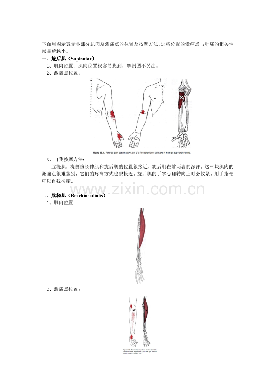 激痛点和肌肉疼痛自我按摩治疗(12)肘痛.pdf_第2页