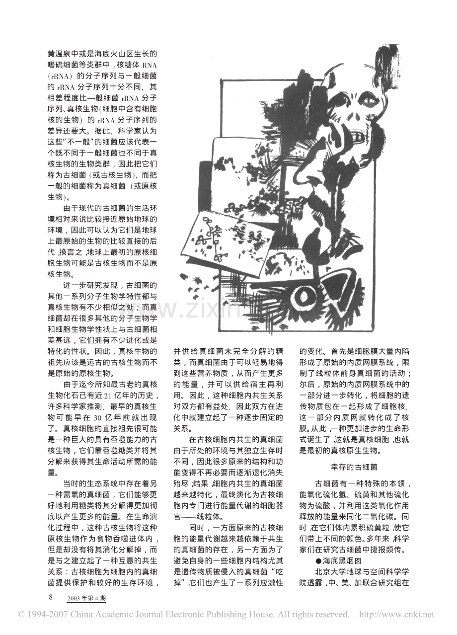 生命起源的活化石_古细菌.pdf_第2页