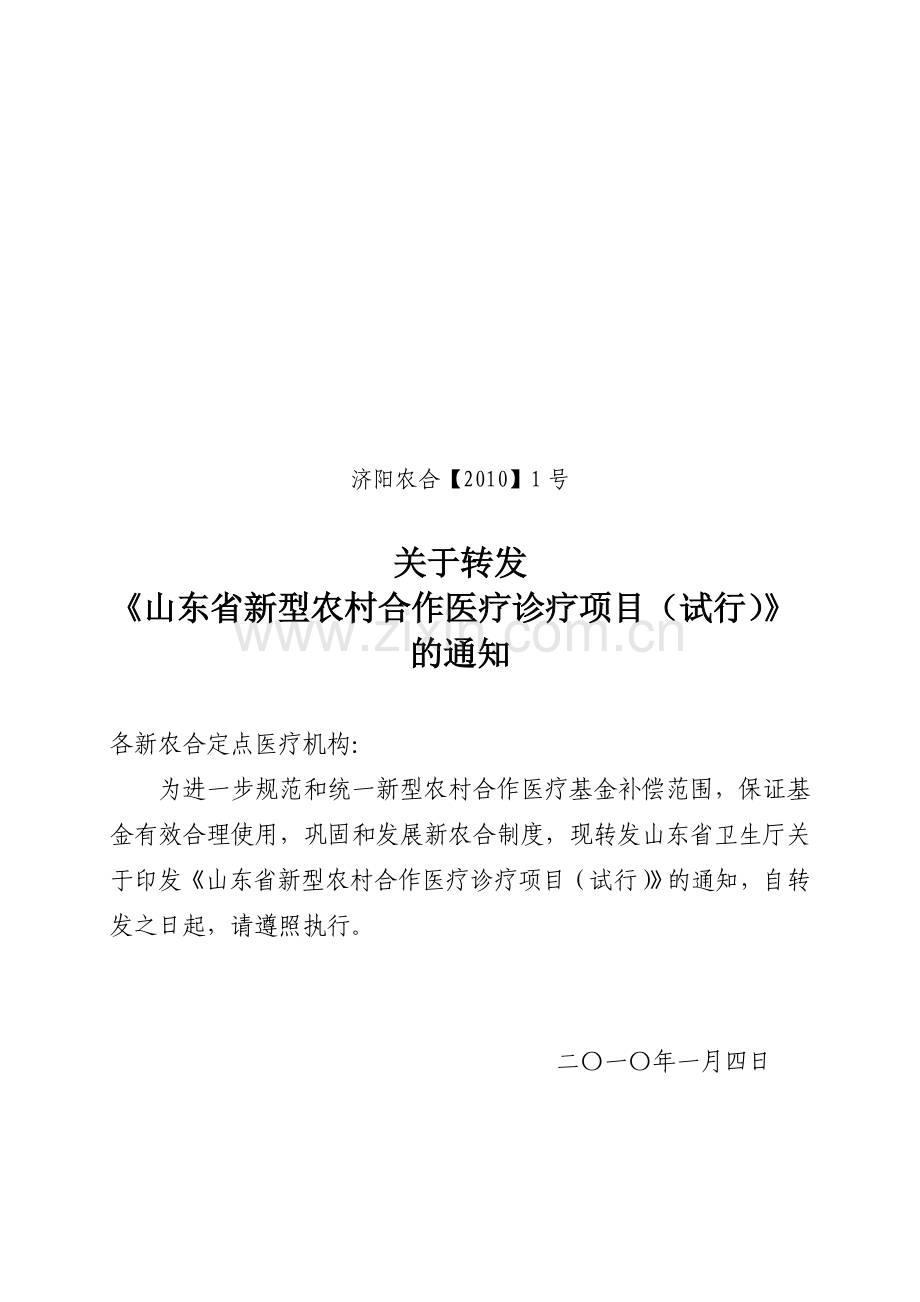 新农合诊疗目录.doc_第1页