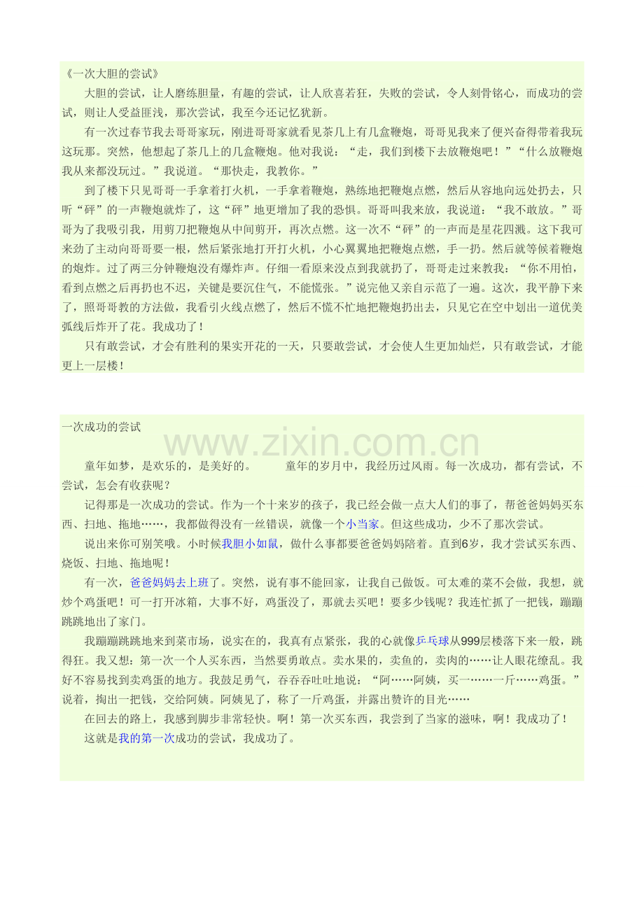一次大胆的尝试.doc_第1页