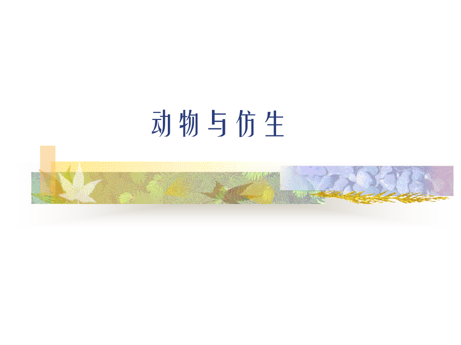 生物学艺术　动物与造型艺术.ppt_第1页