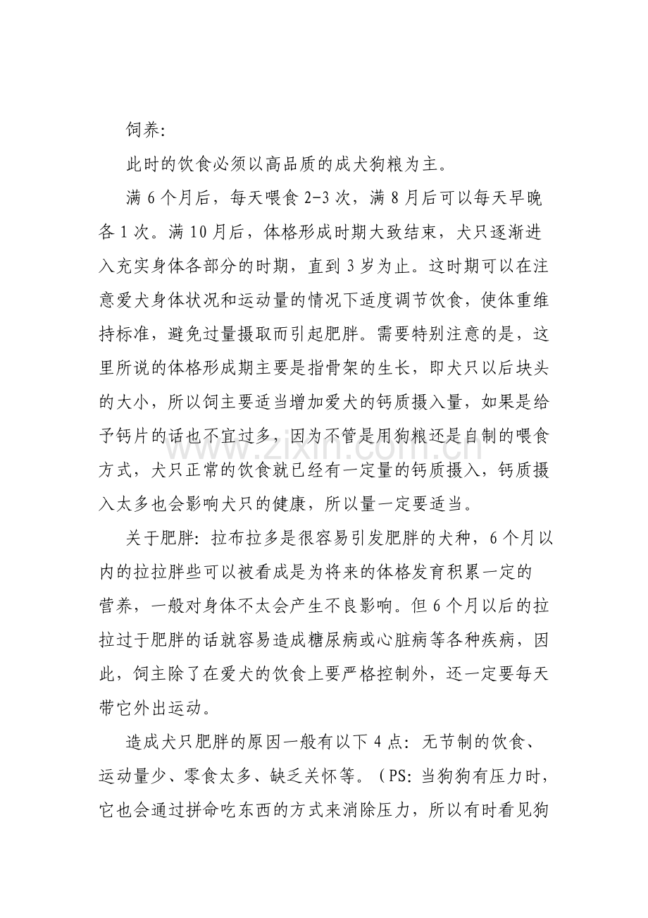拉布拉多的养护以及体重身高标准表.doc_第2页